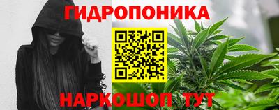 ECSTASY Кинель