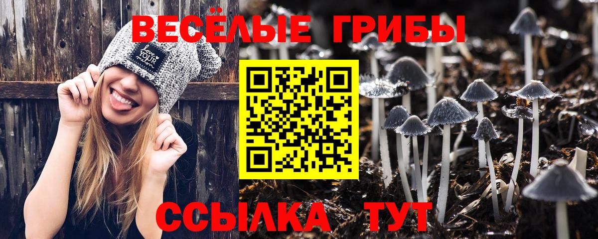 цена   Галлюциногенные грибы Psilocybine cubensis  Вход с VPN  Кострома 